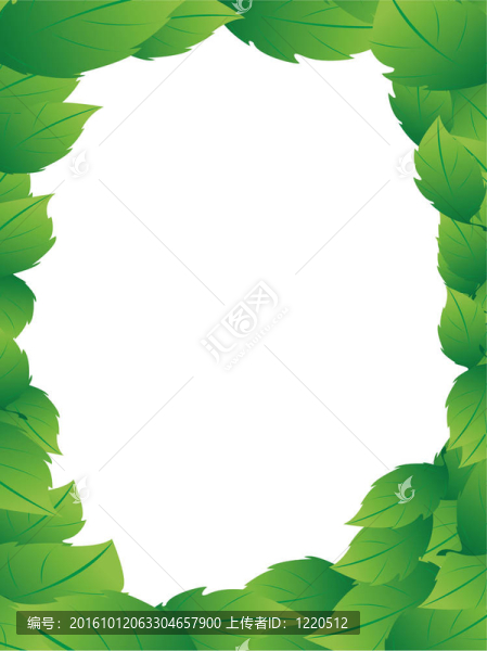 從葉子的框架