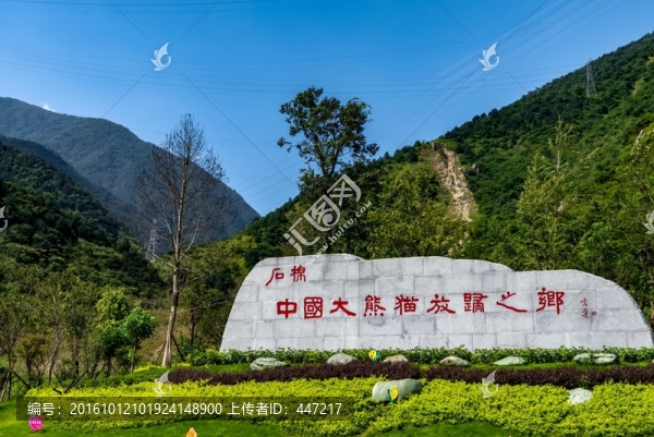 石棉大熊貓基地