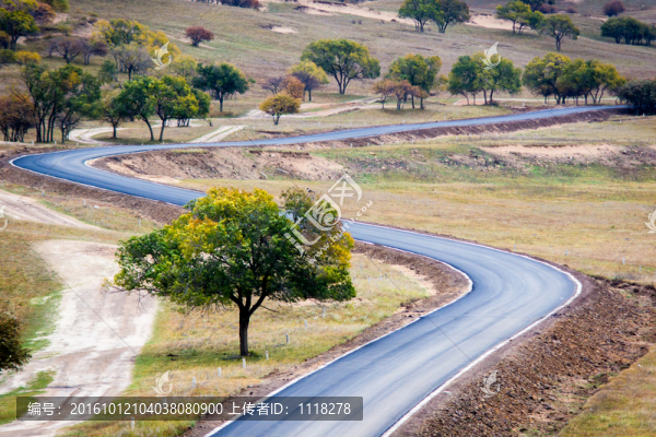路