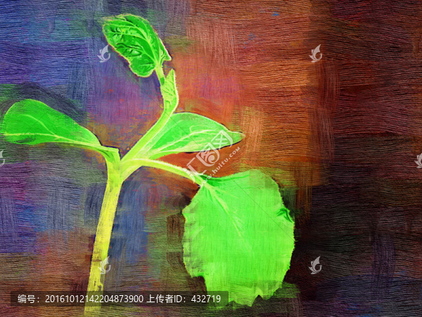 裝飾畫,發(fā)芽