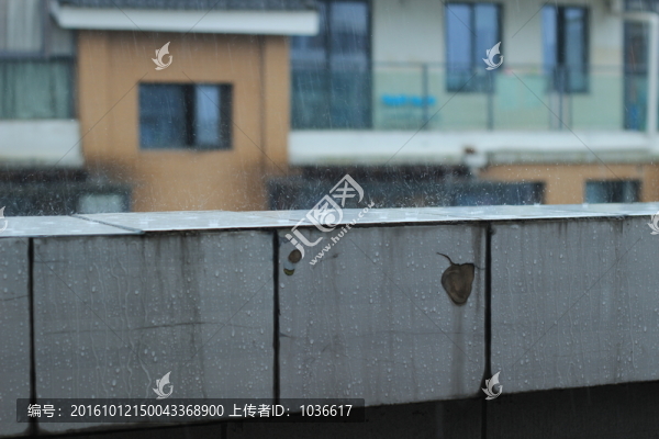 雨滴四濺