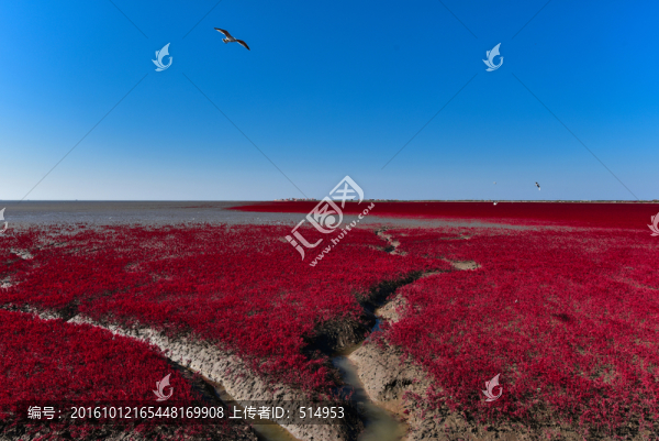紅海灘