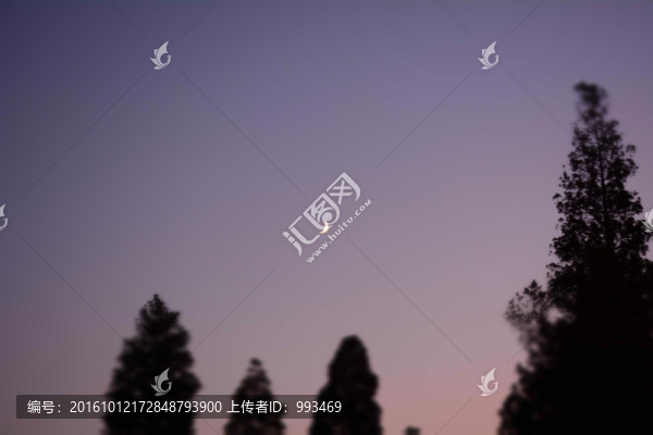 北京天壇公園的月夜