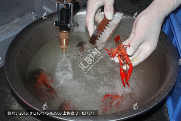 龍蝦整理