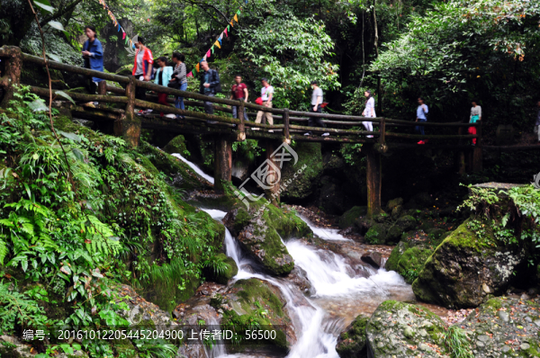 青城后山