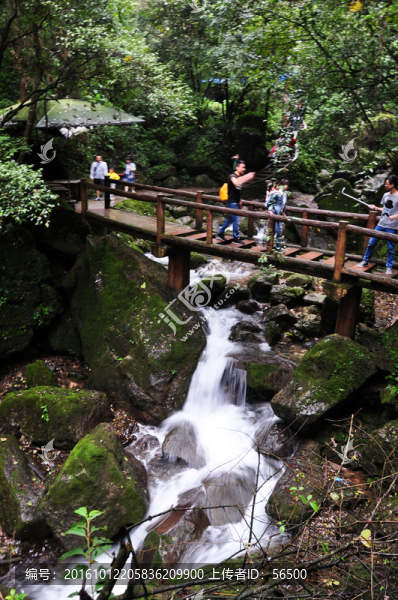 青城后山