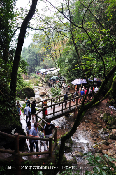 青城后山