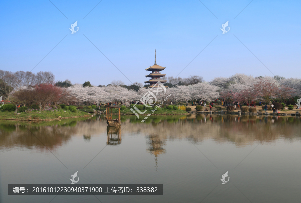 東湖櫻園