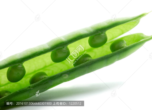 豌豆莢