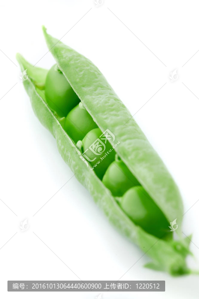豌豆莢