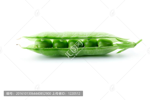 豌豆莢