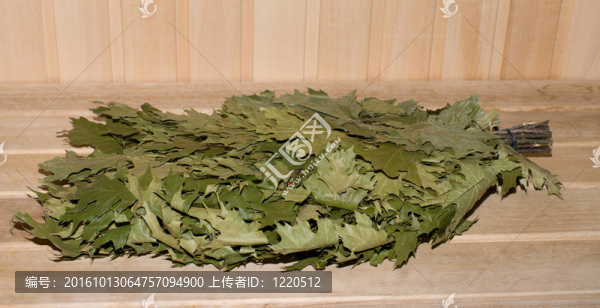 橡樹的掃帚。