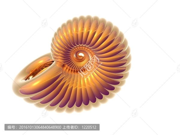 金殼
