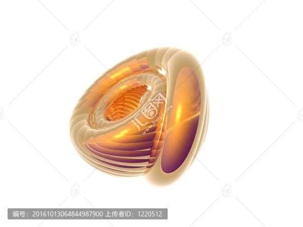 金殼