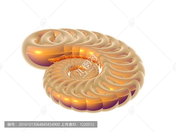 金殼