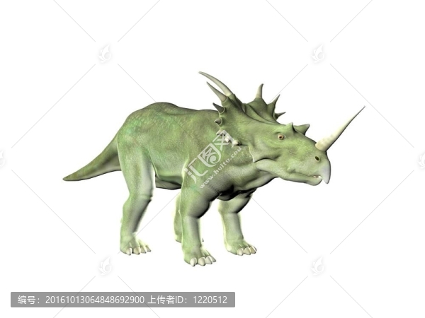 三角龍-匯圖網(wǎng) www.fosd68.com 三角龍