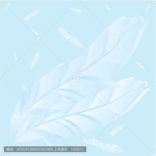 羽毛