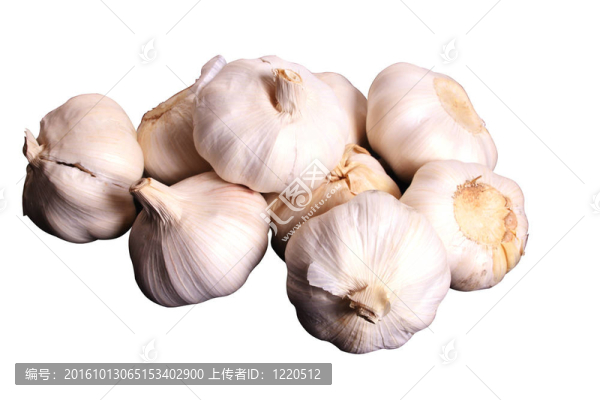 把大蒜
