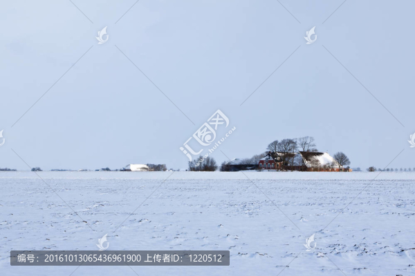 農(nóng)田白冬景觀