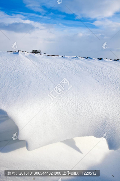 溝里的雪