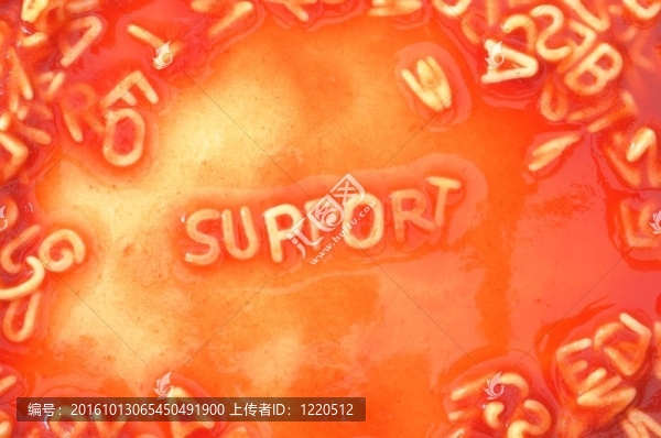 支持
