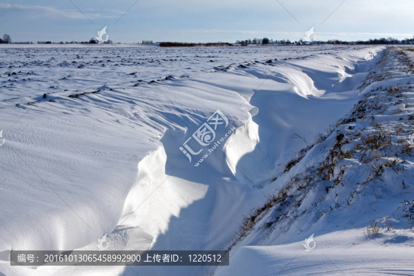 溝里的雪