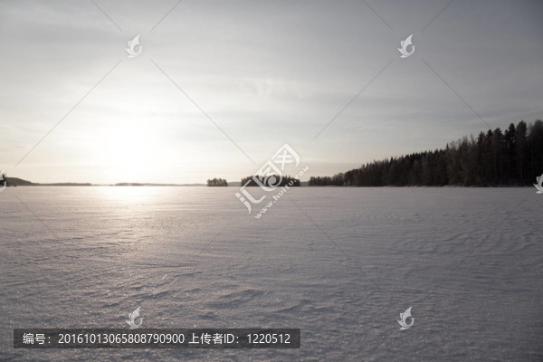 冬景