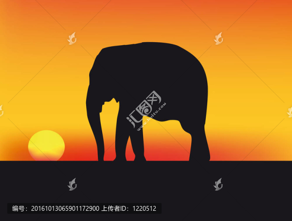 在非洲日落