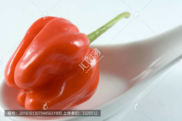 辣椒辣椒上白勺