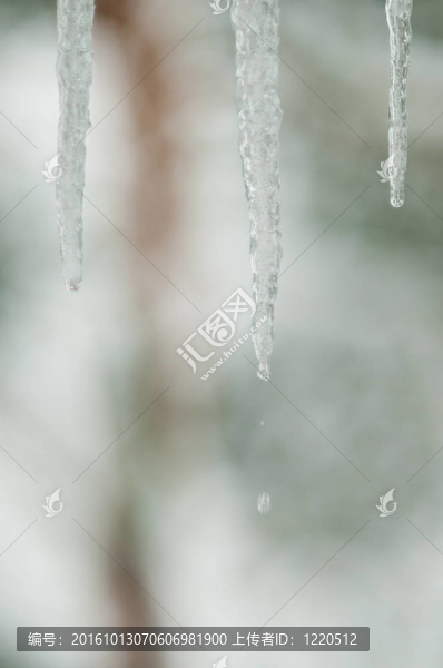 滴水的冰柱