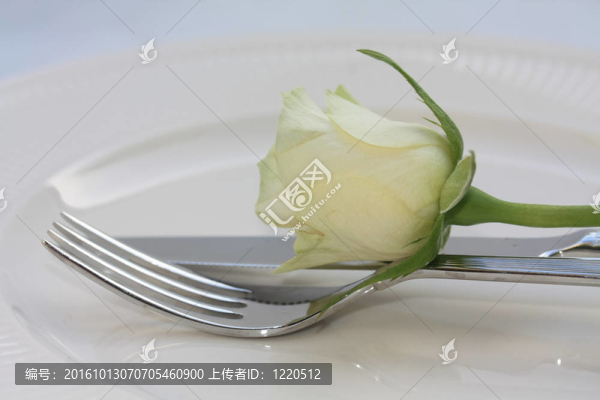 白玫瑰cuttlery
