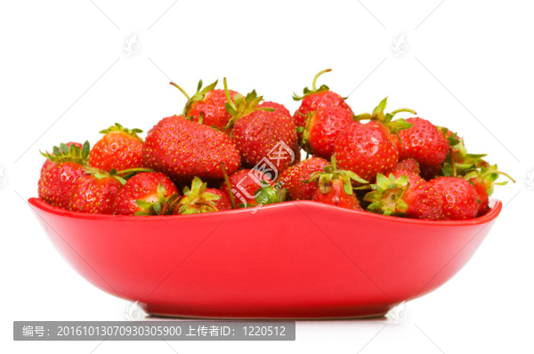 白色背景上的紅草莓