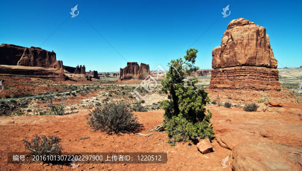 風(fēng)景自然充滿活力的景觀捕捉來自猶他拱門