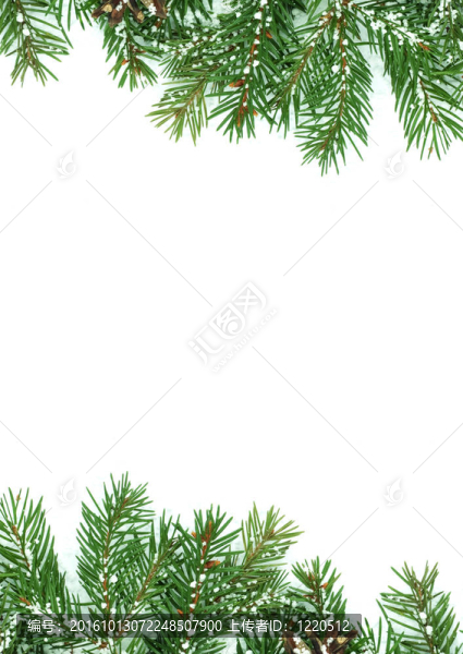 雪的圣誕框架
