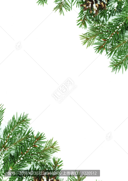 雪的圣誕框架