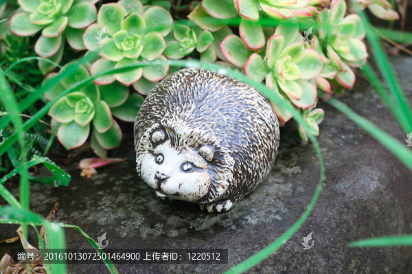 刺猬裝飾。