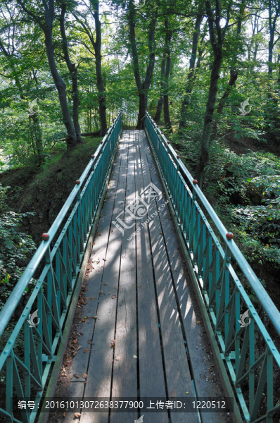 橋
