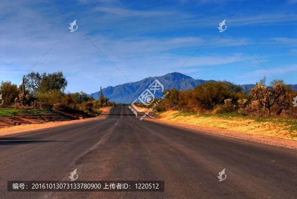 沙漠的山路