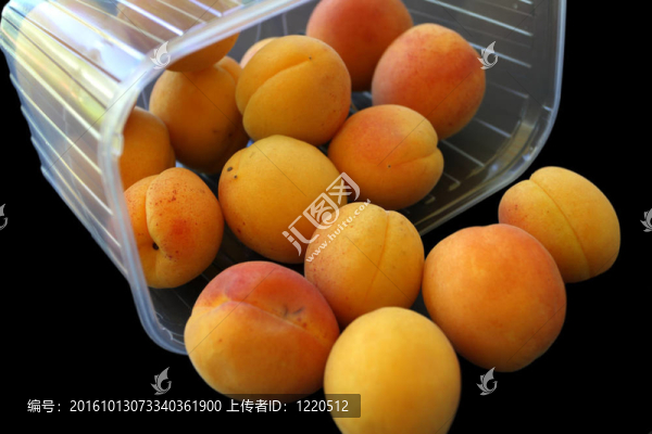 李子