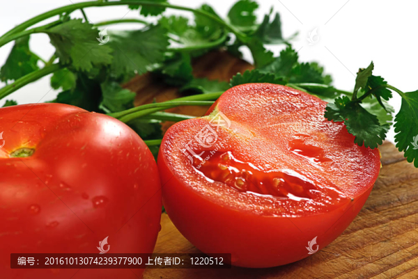 番茄和香菜