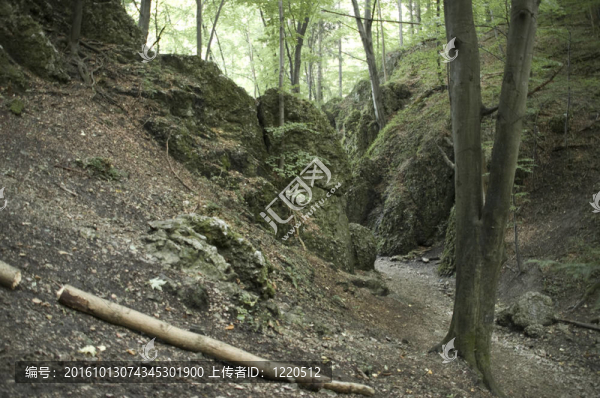 Ojcowski國家公園
