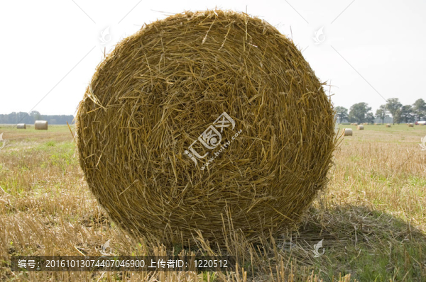 農(nóng)業(yè)