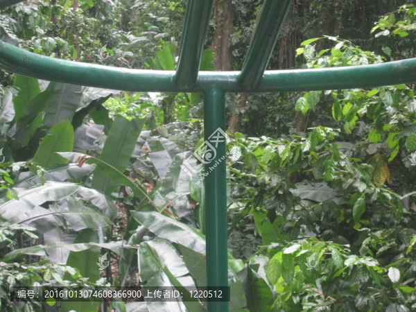 圣露西亞航空有軌電車