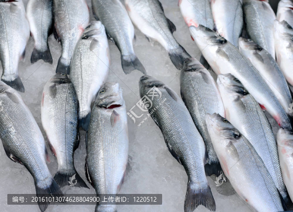 新鮮冰上的魚(yú)