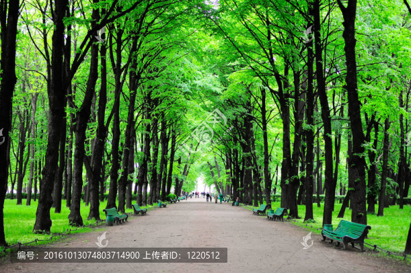 綠色公園
