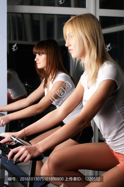 體育大廳里的兩個迷人的女孩
