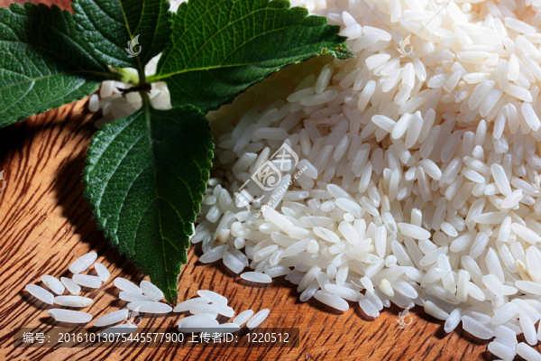 Rice薄荷