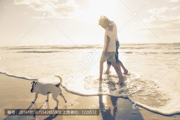 家人在海灘上散步的狗