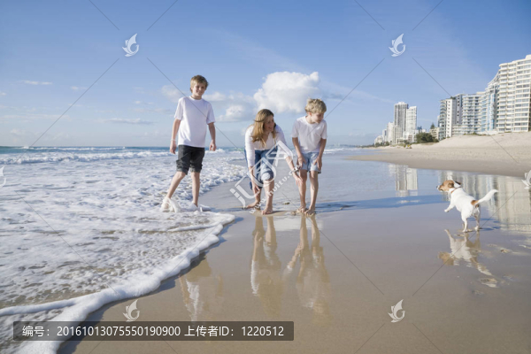 在海灘上與狗玩耍的家庭