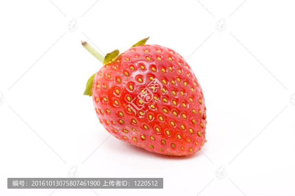 草莓